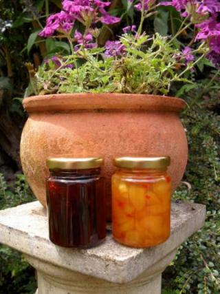 Two Jams in Garden